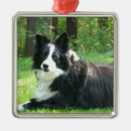 Ornamento De Metal Border collie