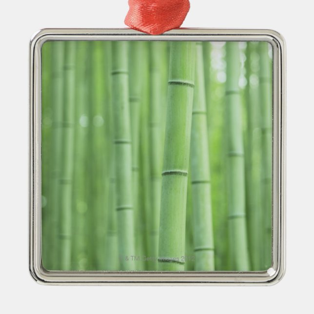 Ornamento De Metal Bosque de bambu (Frente)