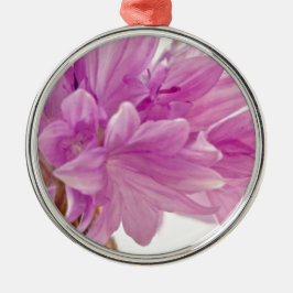 Ornamento De Metal Botão Batchelor