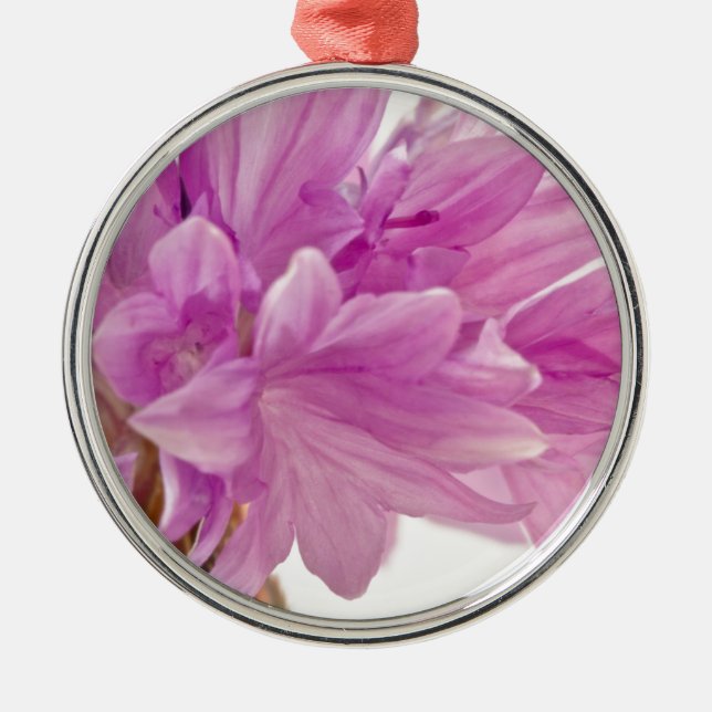 Ornamento De Metal Botão Batchelor (Frente)