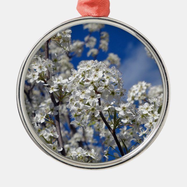 Ornamento De Metal Bradford Pear Blooms (Frente)