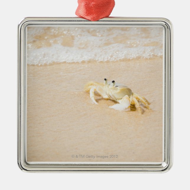 Ornamento De Metal Brasil, Rio de Janeiro, Buzios, caranguejo sobre (Frente)