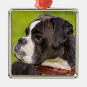 Ornamento De Metal Brindle Boxer Puppy Dog