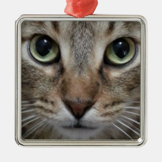 Ornamento De Metal Brown Tabby Cat