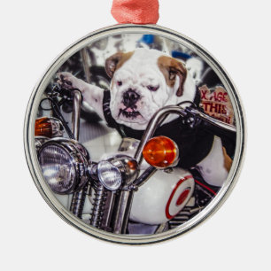 Ornamento De Metal Buldogue na motocicleta