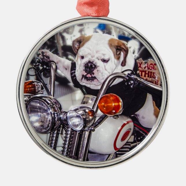 Ornamento De Metal Buldogue na motocicleta (Frente)