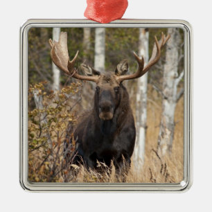 Ornamento De Metal Bull Moose Impressionante