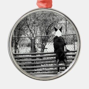 Ornamento De Metal Bull terrier
