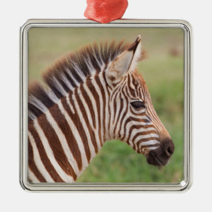 Ornamento De Metal Cabeça de zebra bebê, Tanzânia