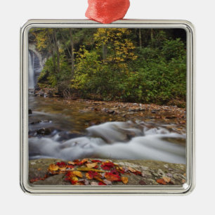 Ornamento De Metal Cachoeira Looking Glass no Pisgah National