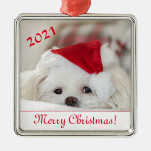 Ornamento De Metal Cachorro branco liso Maltês Cachorro branco num c