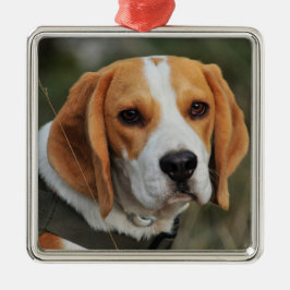 Ornamento De Metal Cachorro de Beagle Hound