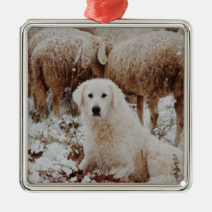 Ornamento De Metal Cachorro Guardião Branco com Ovinos