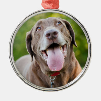 Ornamento De Metal Cachorro Labrador Chocolate