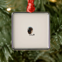 Cachorro Labrador de Chocolate Bonito - Bailey | P