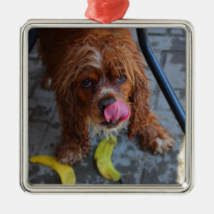 Ornamento De Metal Cachorro Molhado com Banana