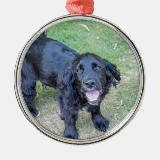 Ornamento De Metal Cachorro Preto