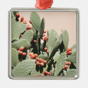 Ornamento De Metal Cacto da pera de Prickley