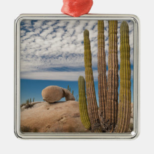 Ornamento De Metal Cacto no Deserto Cênico