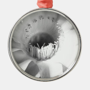 Ornamento De Metal Cactus Flower in Black and White #succult