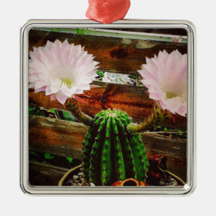 Ornamento De Metal Cactus sangrando #suculento