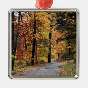 Ornamento De Metal Caminhos