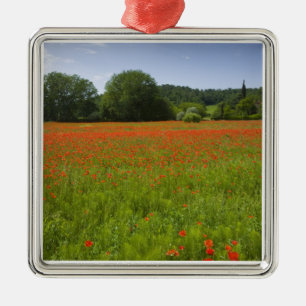 Ornamento De Metal Campo da papoila, Chiusi, Italia