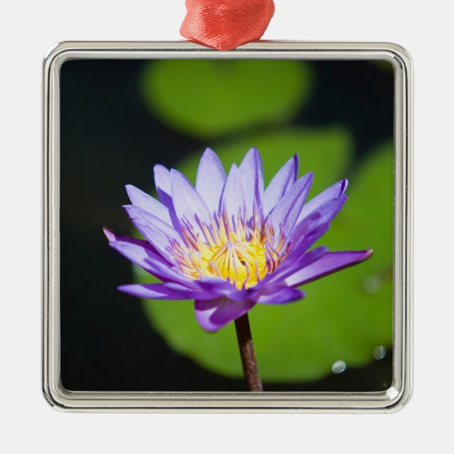 Ornamento De Metal Cancun, México (Frente)