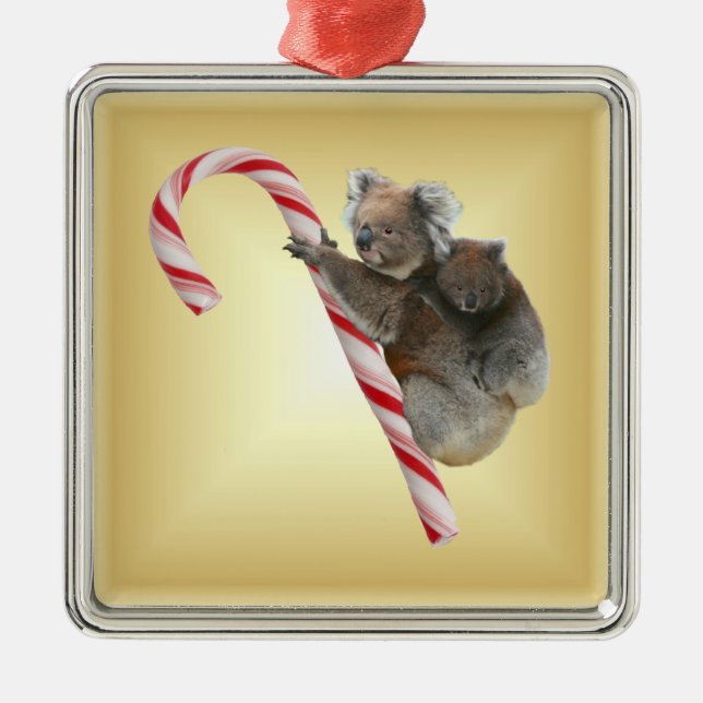 Ornamento De Metal Candy Cane Koalas de Natal (Frente)