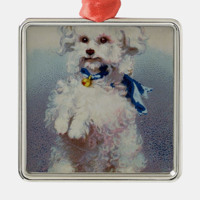 Ornamento De Metal Caniche com fita azul (Frente)