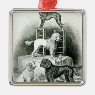 Ornamento De Metal Caniches e Whippet - grupo de Sr. Walton