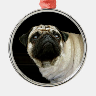 Ornamento De Metal Canino e mugido