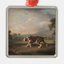 Canino Espanhol (por George Stubbs)