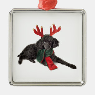 Ornamento De Metal Cão de caniche preto do brinquedo do Natal vestid