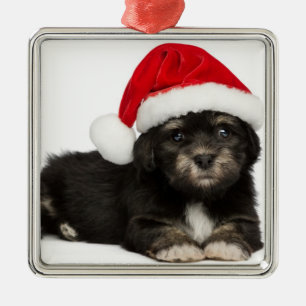 Ornamento De Metal Cão de filhote de cachorro bonito de Havanese do