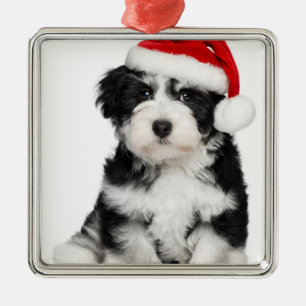 Ornamento De Metal Cão de filhote de cachorro de Havanese do Natal