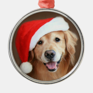Ornamento De Metal Cão do golden retriever com o chapéu vermelho do