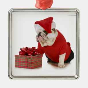 Ornamento De Metal Cão do papai noel - buldogue inglês vestido como