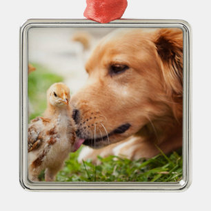 Ornamento De Metal Cão e pintinho