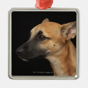 Ornamento De Metal Cão misturado da raça que olha à esquerda no pr