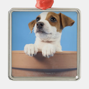 Ornamento De Metal Cão no flowerpot