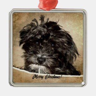 Ornamento De Metal Cão Schnoodle