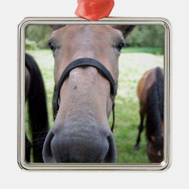 Ornamento De Metal Cara de cavalo (Frente)