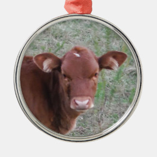Ornamento De Metal Cara de vaca de Baby Brown