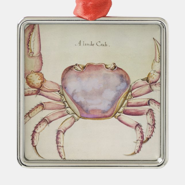 Ornamento De Metal Caranguejo de terra (Frente)