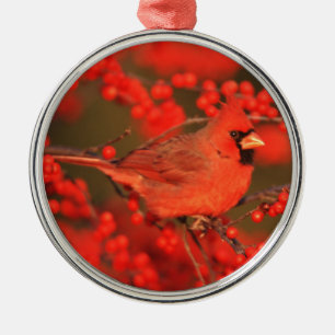 Ornamento De Metal Cardinal do Norte macho vermelho, IL