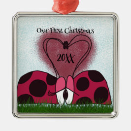 Ornamento De Metal Casal Ladybug