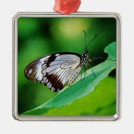 Ornamento De Metal Castanho escuro e borboleta Cinza