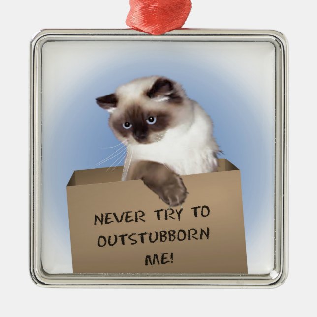 Ornamento De Metal Cat in Box (Frente)