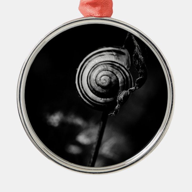 Ornamento De Metal cauda de caracol (Frente)